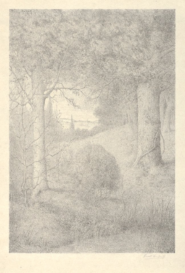 The Edge of the Wood MET DP846178