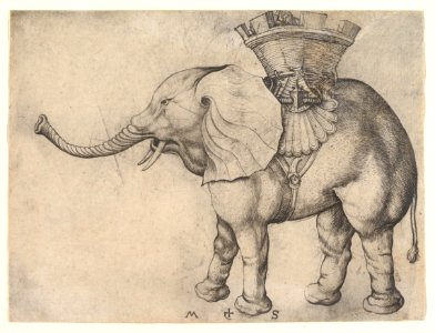 The Elephant MET DP820024