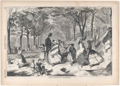 The Boston Common (Harper's Weekly, Vol. II) MET DP875151