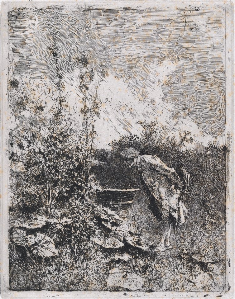 The botanist- a man in a garden examining its contents MET DP876126