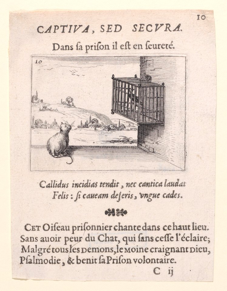 The Cat Watching the Bird in the Cage Met DP890743