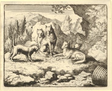 The Cat Calls Renard to Appear before the Tribunal from Hendrick van Alcmar's Renard The Fox MET DP837699