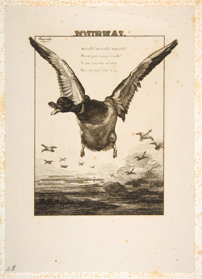 The Duck MET DP814016