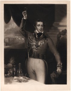 The Duke of Wellington Met DP886227
