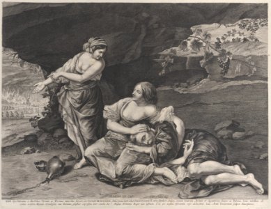 The drunkenness of Lot Met DP885634