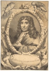 The Dutch Microscopist Anton van Leeuwenhoek MET DP809891