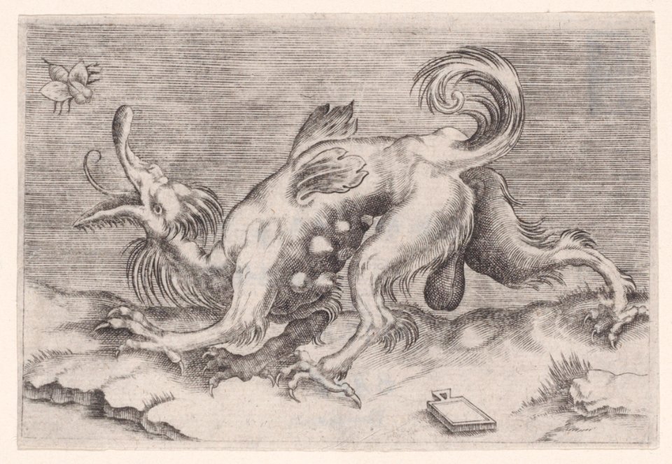 The Dragon and the Bee Met DP888624