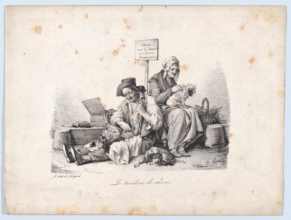 The Dog Shearer MET DP874357