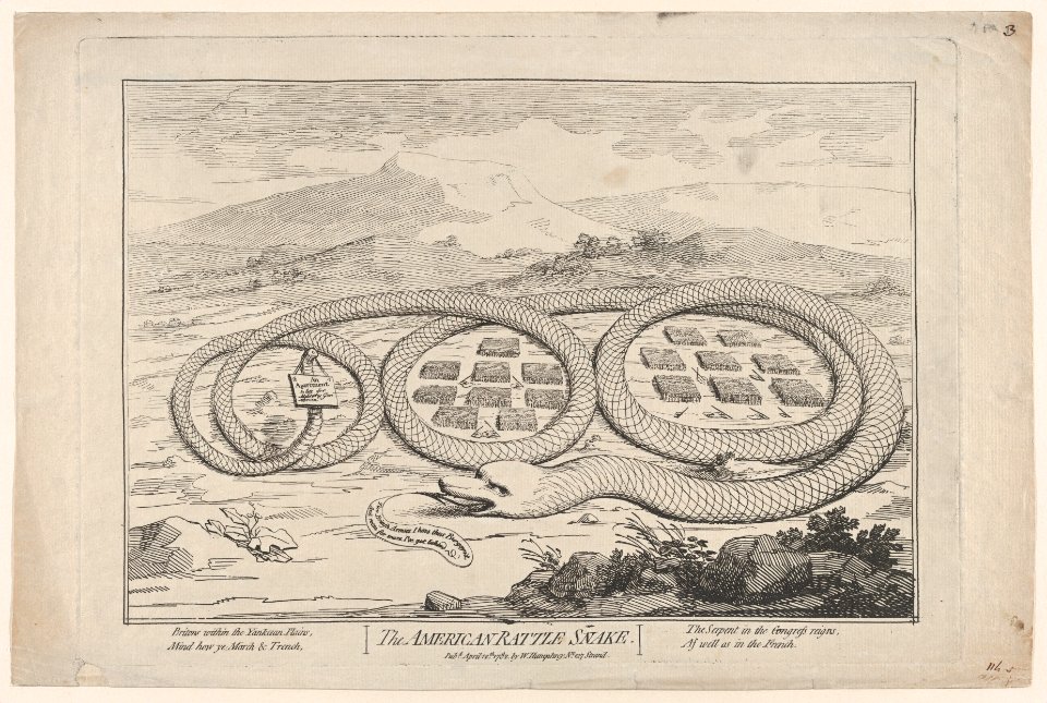 The American Rattle Snake MET DP873547