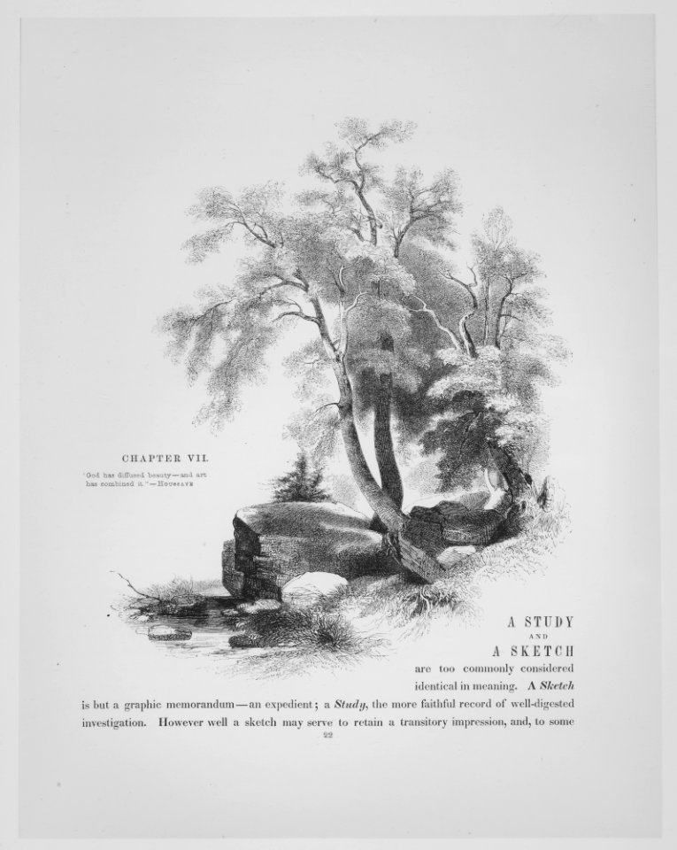 The American Drawing Book- Manual for the Amateur, Basis of Study for the Professional Artist MET MM89548
