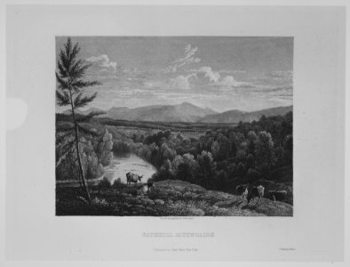 The American Landscape MET MM89532