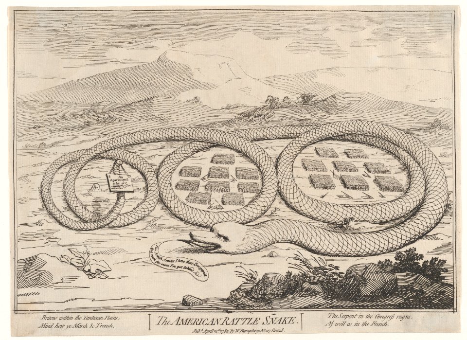 The American Rattle Snake MET DP873554
