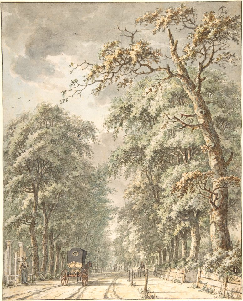 The Amstelveen Road from Amsterdam towards Amstelveen MET DP800928
