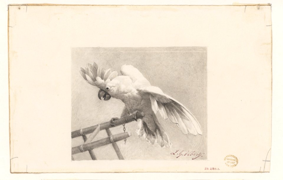 The Angry Parrot MET DP224971