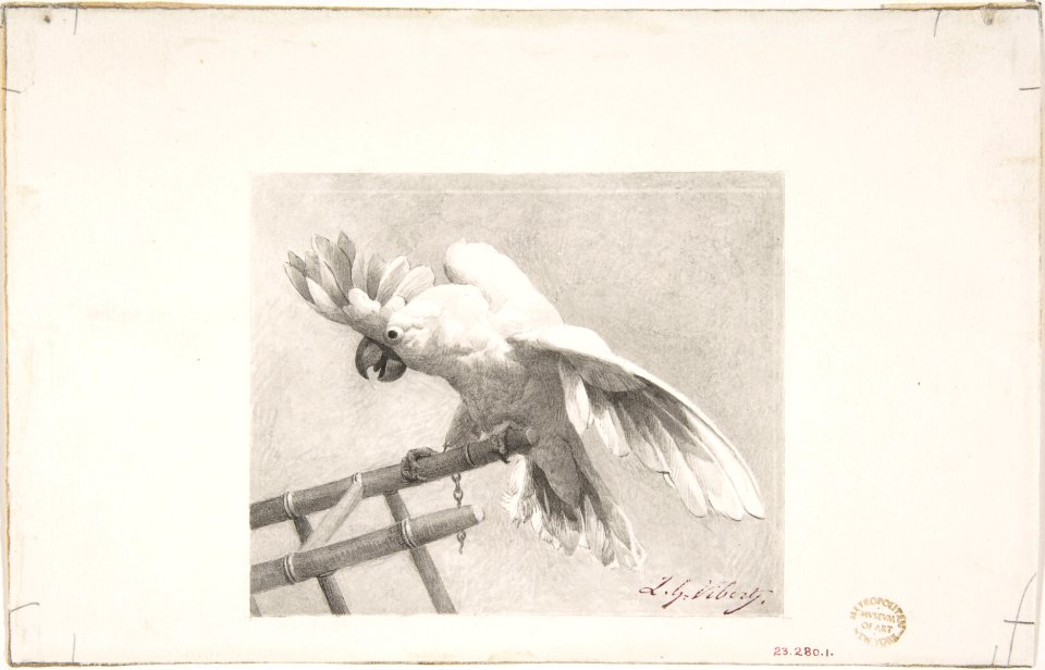 The Angry Parrot MET DP808422