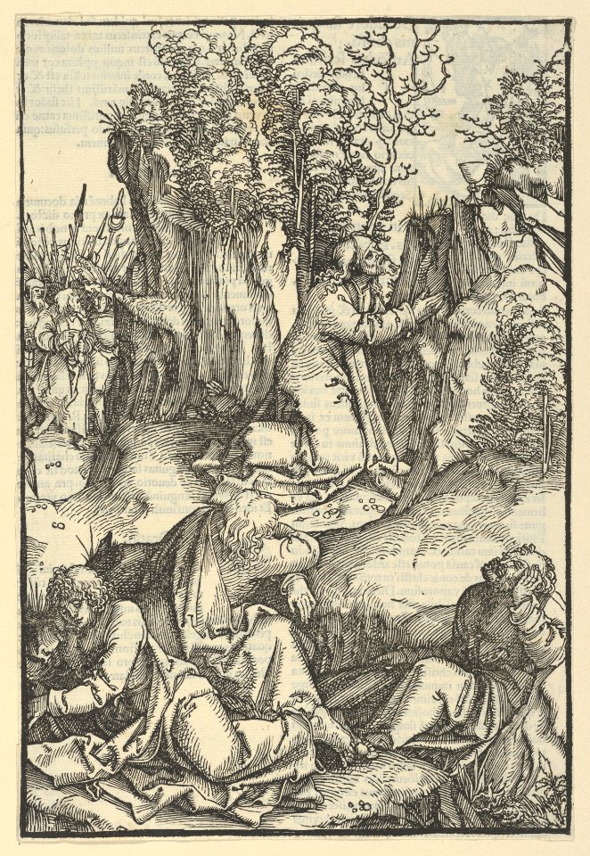 The Agony in the Garden, from Speculum passionis domini nostri Ihesu Christi MET DP848956