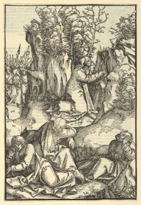 The Agony in the Garden, from Speculum passionis domini nostri Ihesu Christi MET DP848956