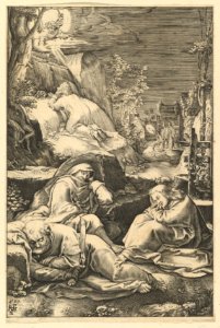 The Agony in the Garden, from The Passion of Christ MET DP820910