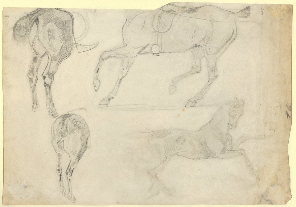 The Abbey at Valmont- A Tomb and Studies of Windows (recto); Four Studies of Horses (verso) MET DP836035