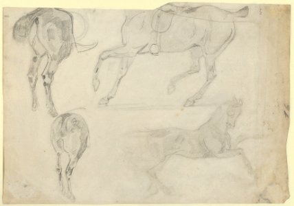 The Abbey at Valmont- A Tomb and Studies of Windows (recto); Four Studies of Horses (verso) MET DP836035