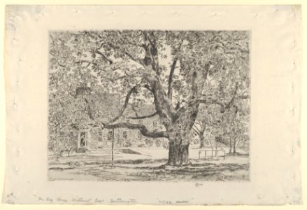 The Big Horse Chestnut Tree, Easthampton MET DP836217