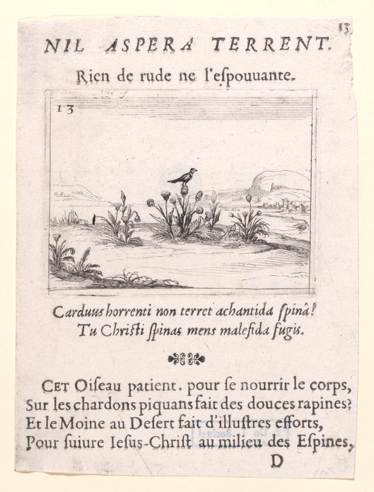 The Bird Standing on Thistle Flower Met DP890763