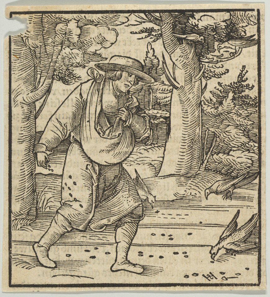 The Birds Eating the Seeds of the Sower, from Hymmelwagen auff dem, wer wol lebt... MET DP849954