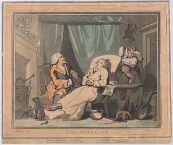 The Bachelor MET DP881040