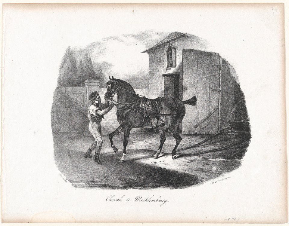 The Horse of Mecklembourg MET DP874606