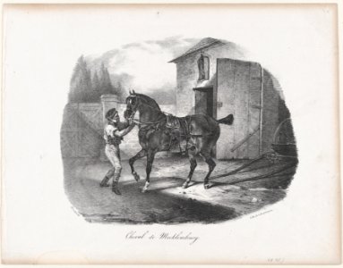 The Horse of Mecklembourg MET DP874606