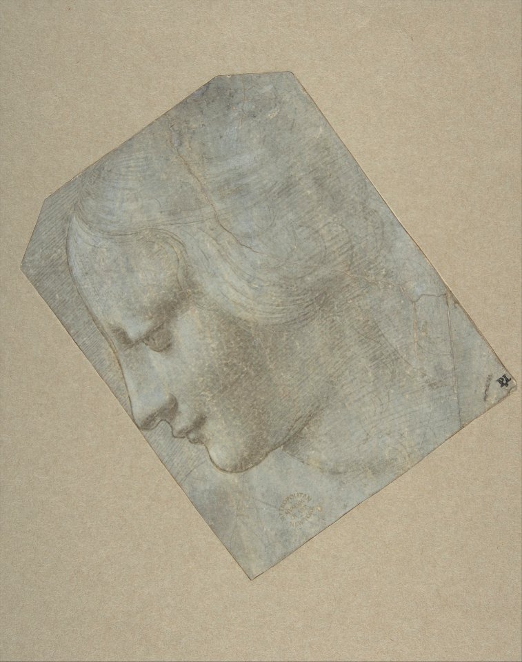 The Head of a Woman in Profile Facing Left MET DP810249