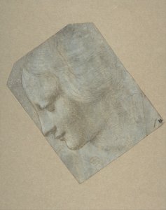The Head of a Woman in Profile Facing Left MET DP810249