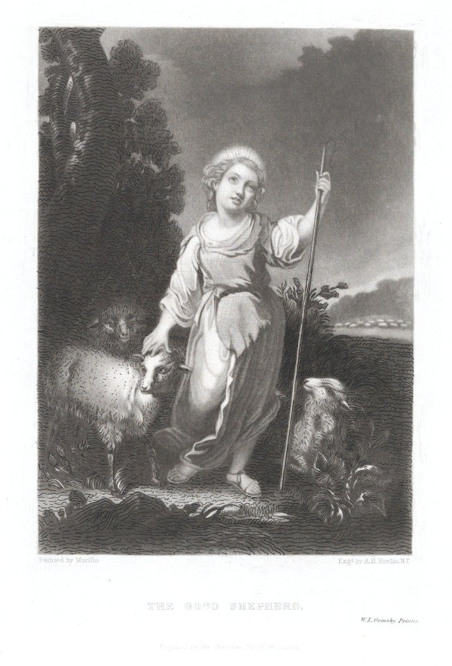 The Good Shepherd MET DP876066
