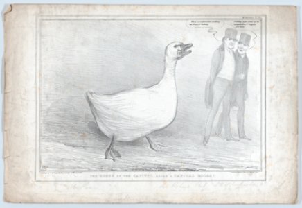 The Goose of the Capitol Alias a Capital Goose! MET DP868283