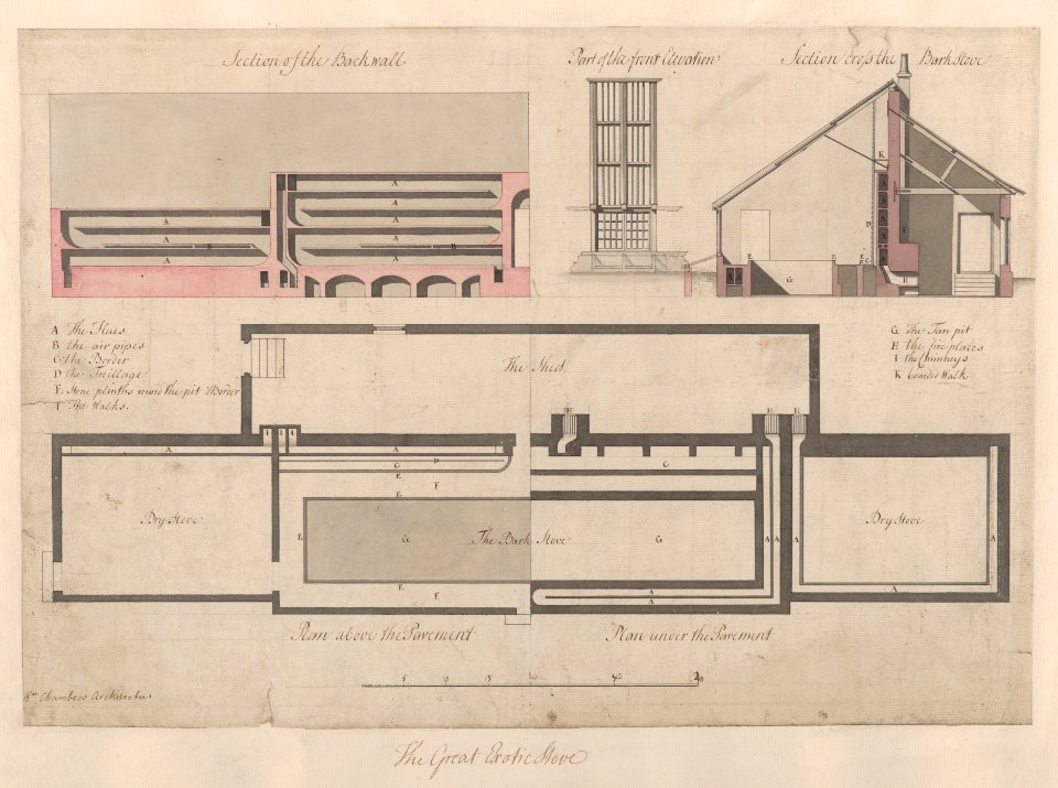 The Great Exotic Stove at Kew MET DP862732