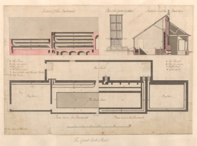 The Great Exotic Stove at Kew MET DP862732