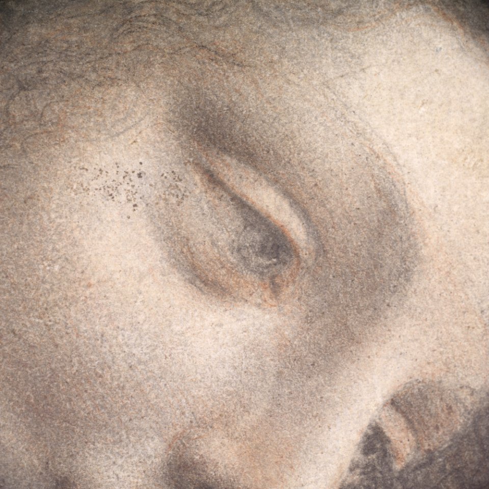 The Head of the Virgin in Three-Quarter View Facing Right MET DP102384