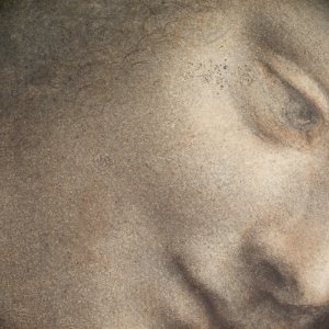 The Head of the Virgin in Three-Quarter View Facing Right MET DP102385
