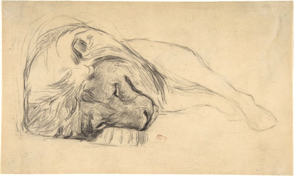 The Head of a Recumbent Lion MET DP805843
