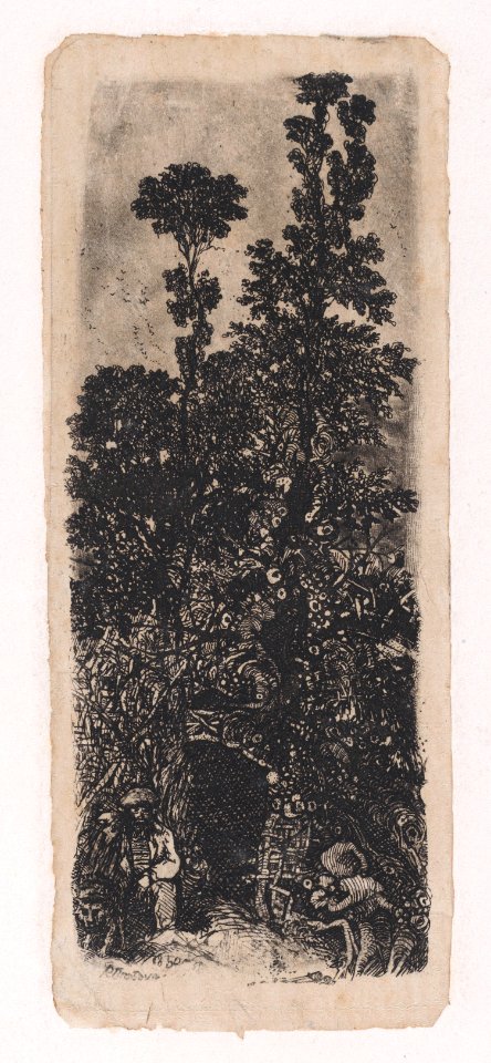 The Hermit Under The Trees Met DP889782