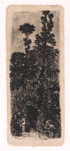 The Hermit Under The Trees Met DP889782