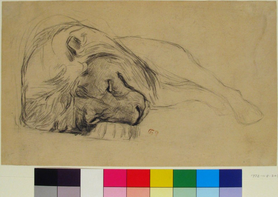 The Head of a Recumbent Lion MET 1972.118.208