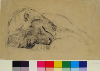 The Head of a Recumbent Lion MET 1972.118.208