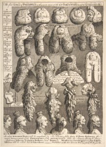 The Five Orders of Periwigs MET DP808228