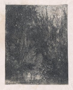 The Marsh Met DP889767