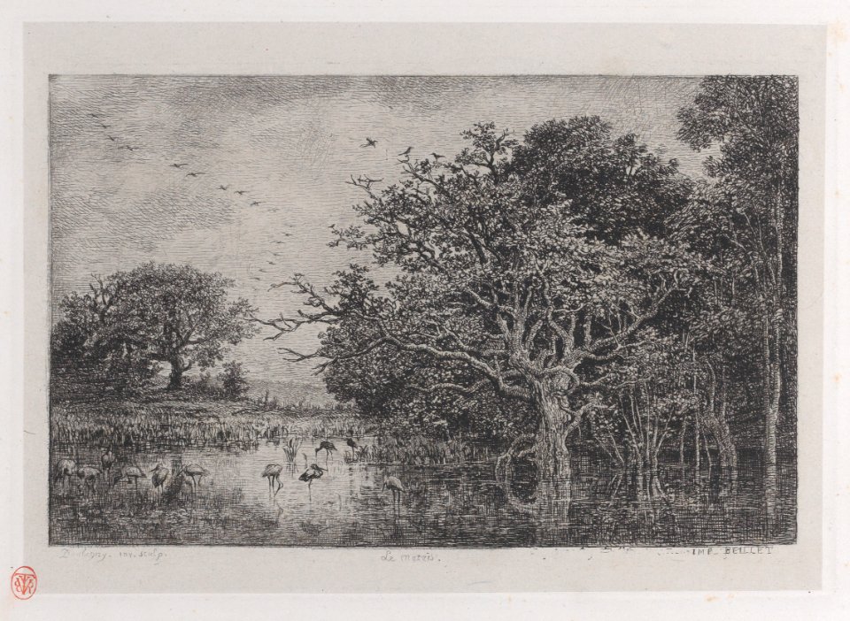 The Marshes Met DP884931