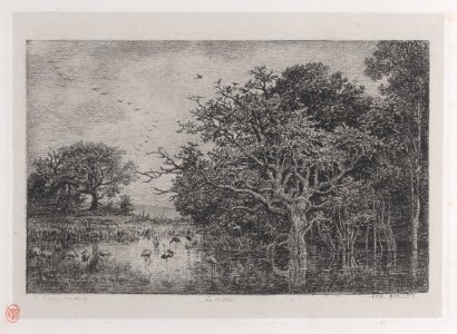 The Marshes Met DP884931
