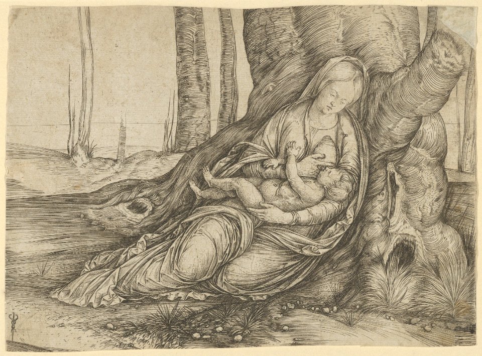 The Madonna nursing the Christ Child at the foot of a tree MET DP853767
