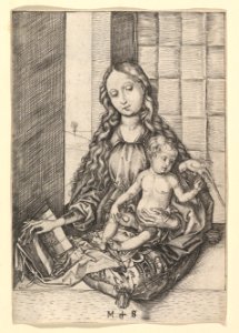 The Madonna and Child with the Parrot MET DP819971