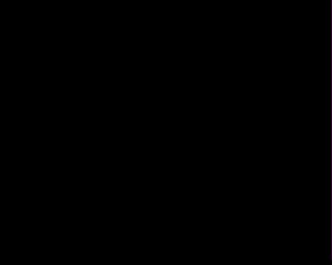 The Marriage Contract MET DP818202
